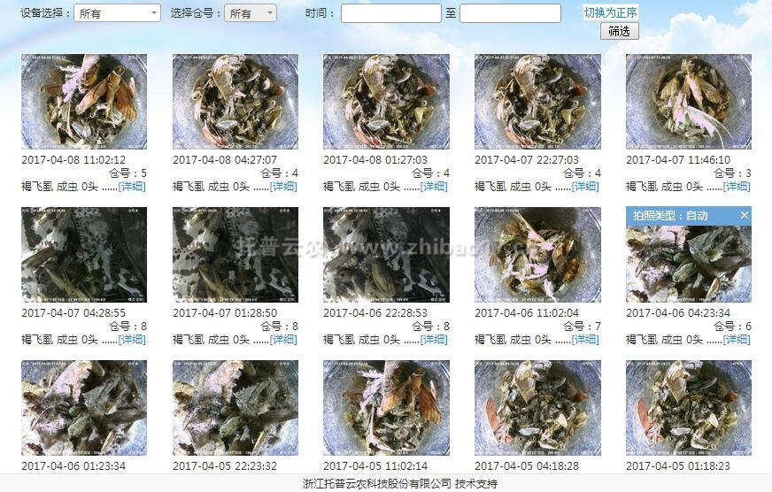 實(shí)時(shí)蟲情查看 實(shí)時(shí)蟲情查看